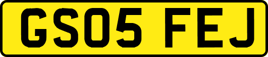 GS05FEJ