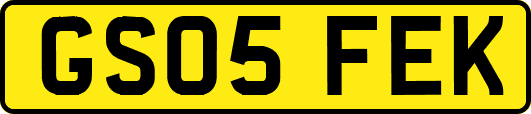 GS05FEK