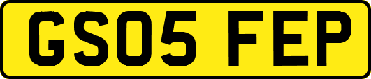 GS05FEP
