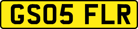 GS05FLR