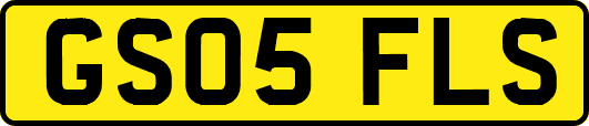 GS05FLS