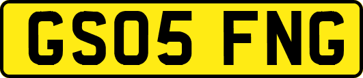GS05FNG
