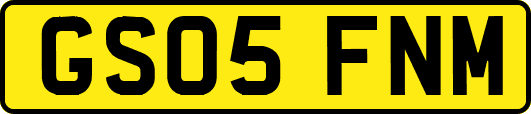GS05FNM