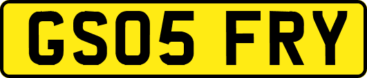 GS05FRY