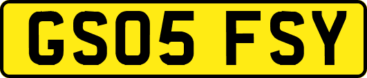 GS05FSY
