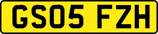 GS05FZH