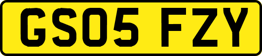 GS05FZY