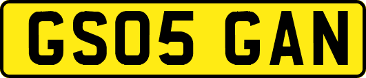 GS05GAN