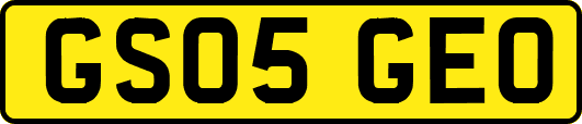 GS05GEO