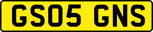 GS05GNS