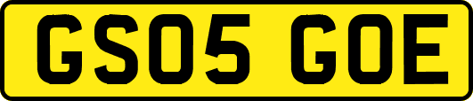 GS05GOE