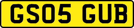GS05GUB