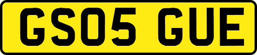 GS05GUE