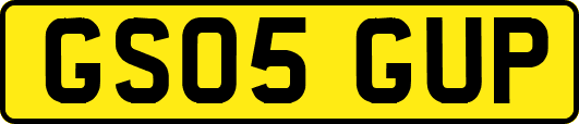 GS05GUP