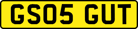 GS05GUT