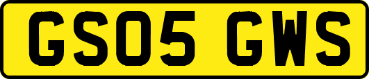 GS05GWS