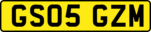 GS05GZM