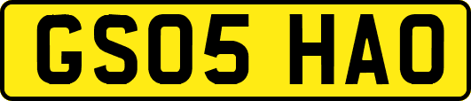GS05HAO