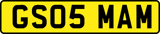 GS05MAM