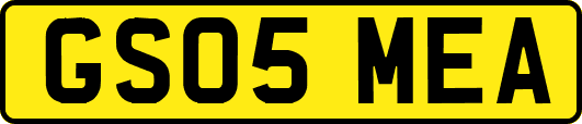 GS05MEA