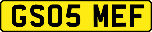 GS05MEF