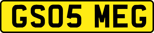 GS05MEG