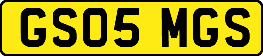 GS05MGS