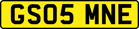 GS05MNE