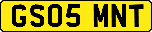 GS05MNT