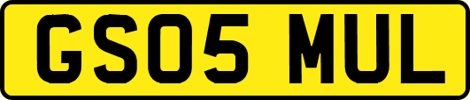 GS05MUL