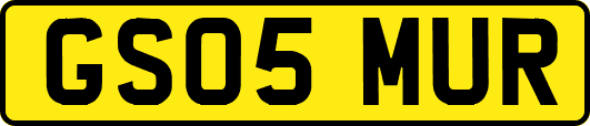 GS05MUR