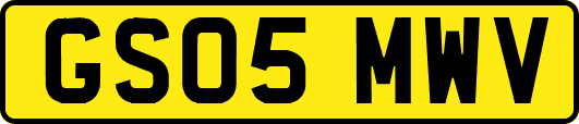 GS05MWV