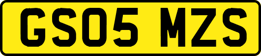 GS05MZS