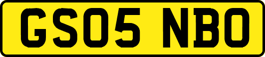 GS05NBO