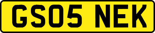 GS05NEK