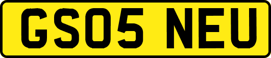 GS05NEU