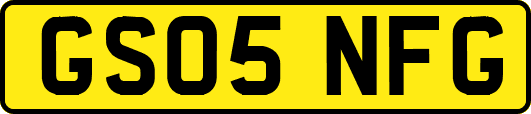 GS05NFG