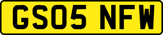 GS05NFW