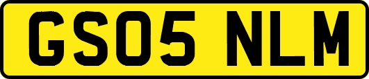 GS05NLM