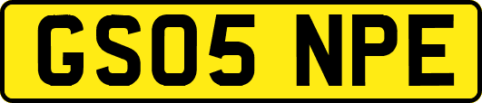 GS05NPE