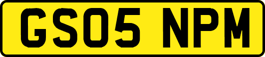GS05NPM