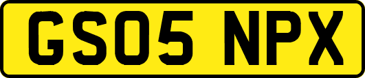 GS05NPX