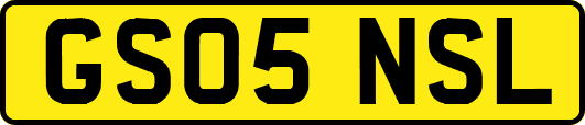 GS05NSL