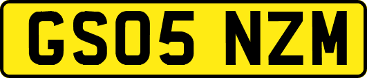 GS05NZM