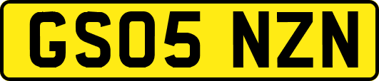 GS05NZN