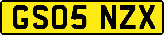 GS05NZX