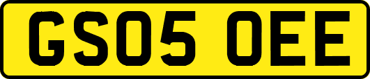 GS05OEE