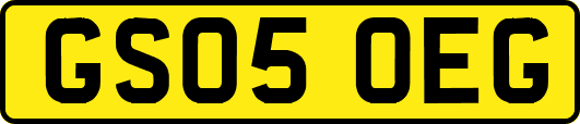 GS05OEG