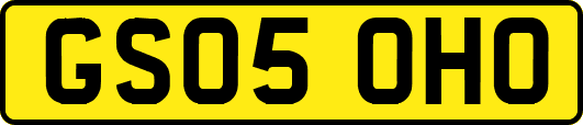 GS05OHO