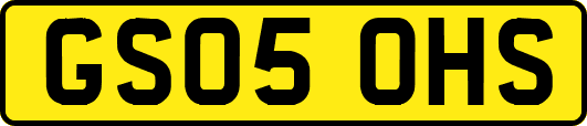 GS05OHS